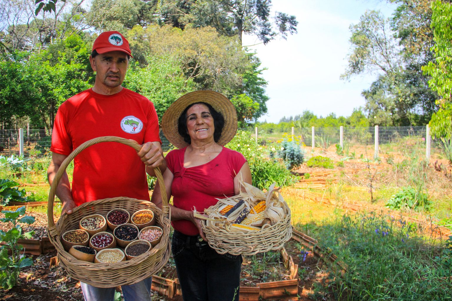 7 Pontos Sobre A Agricultura Familiar E O MST MST