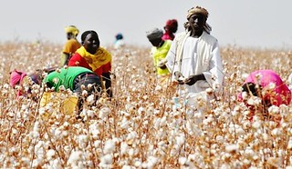 África: o agronegócio é a nova versão do colonialismo