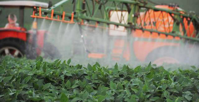 Cascavel sanciona lei que restringe o uso de agrotóxicos