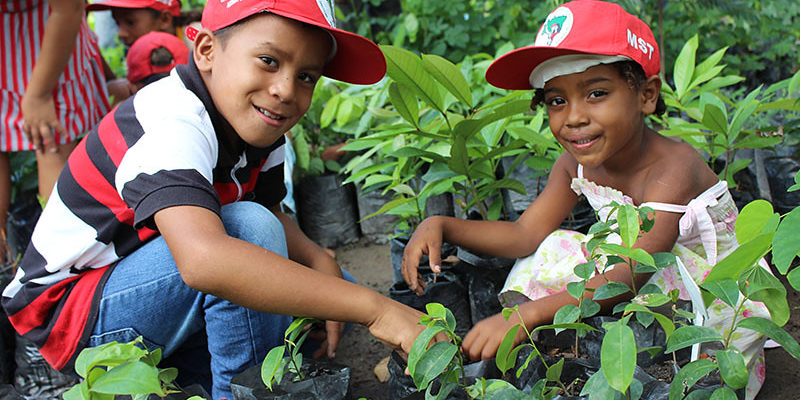 Sem Terrinha cultivam 3 mil mudas e ajudam a reflorestar assentamento