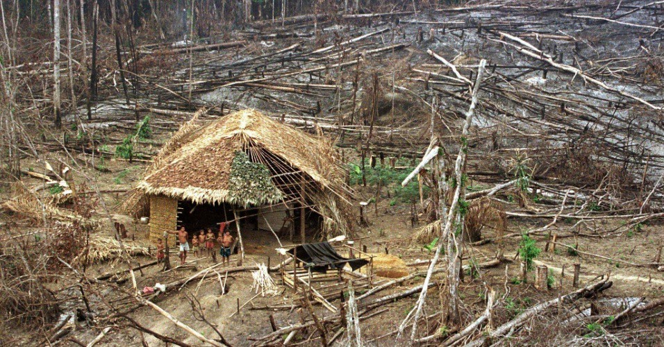 mar1998---indios-em-area-de-floresta-destruida-em-roraima-1338999196779_956x500.jpg