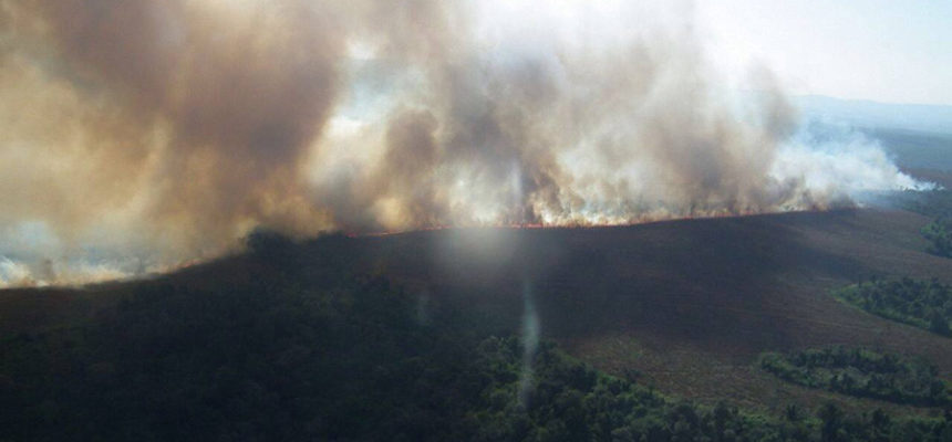 Sem Terra acreditam que incêndio ao redor de acampamento no PR tem origem criminosa