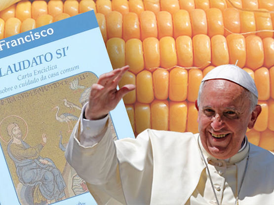 Papa Francisco se une à batalha contra os transgênicos