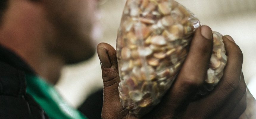 Carta da 14ª Jornada de Agroecologia