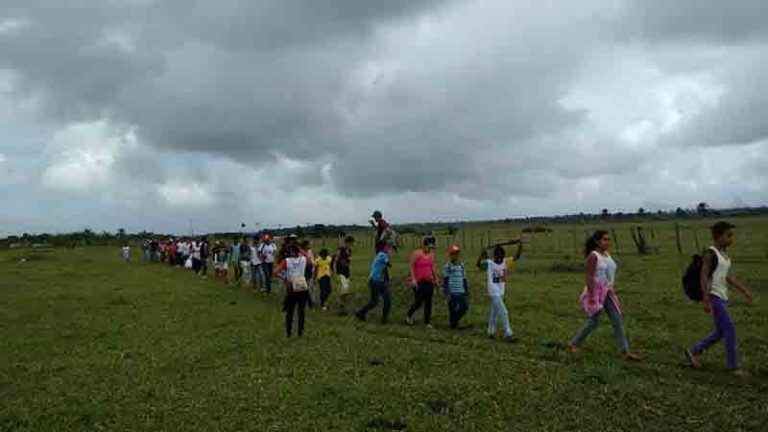Estudantes realizam caminhada agroecológica em Assentamento no sul da Bahia