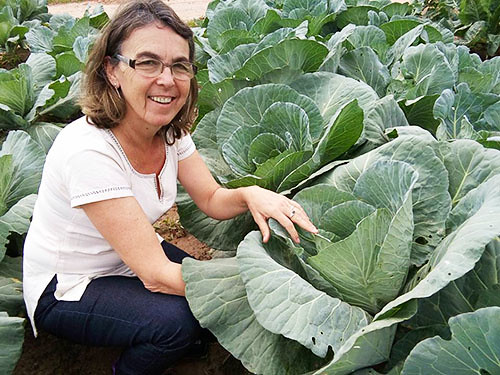 Conforme Sandra Nunes Rodrigues, assistente social da Coptec, somente em Nova Santa Rita, as mulheres estão na linha de frente na produção de hortaliças.jpg