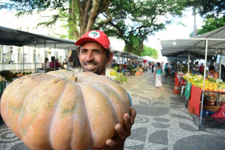 65 toneladas de alimentos são comercializados Feira da Reforma Agrária em Sergipe