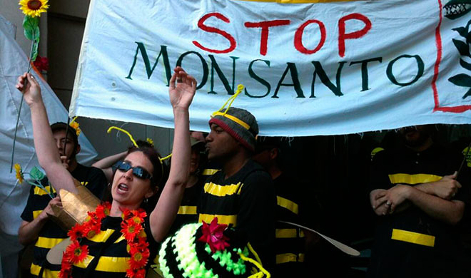 União Europeia revoga patente de melão da Monsanto