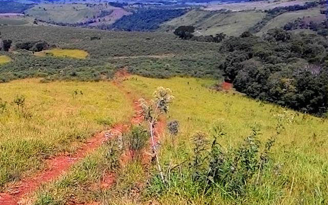 Imóvel no Paraná é declarado de interesse social para fins de Reforma Agrária