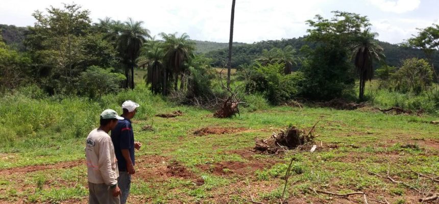 Assentamento Resistência: uma história de luta que nunca acaba