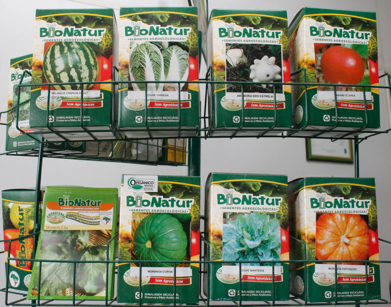 Rede BioNatur: duas décadas de pioneirismo na produção de sementes agroecológicas na América Latina