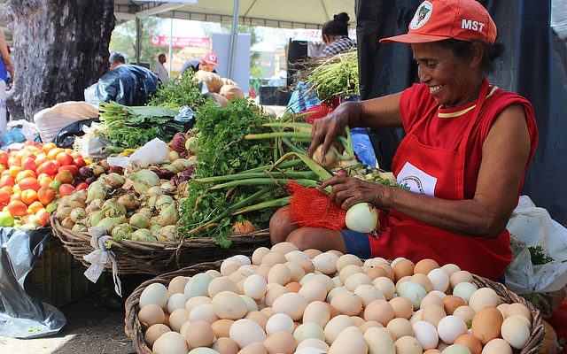 Semana do Meio Ambiente: 70% dos alimentos são produzidos por pequenos agricultores