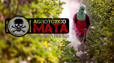 Agrotoxico-campanha-pela-vida.png