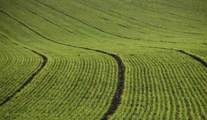 Venda de terras para estrangeiros: ameaça à soberania nacional e ao acesso à terra