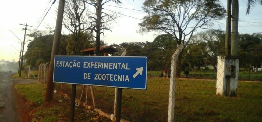 em Ribeirão Preto