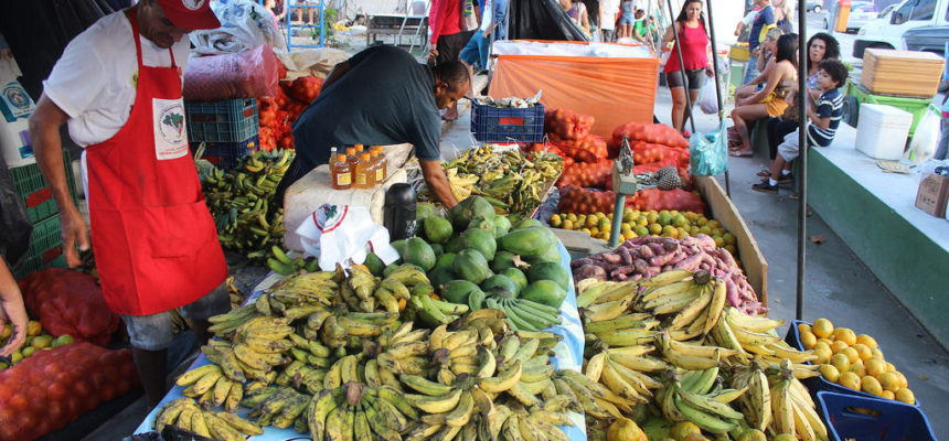 MST realiza 5º Feira da Reforma Agrária no Sertão Central do Ceará