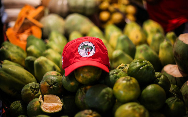 MST inaugura loja de produtos agroecológicos em São Paulo