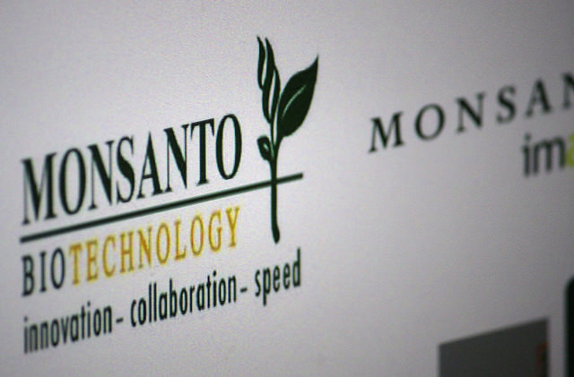 Monsanto se intromete na produção de orgânicos; movimentos criticam violações