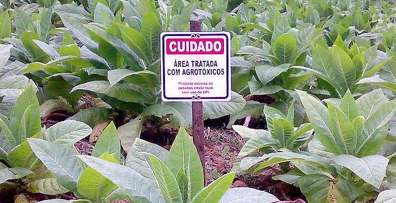 Veja os próximos passos na luta contra a aprovação do Pacote do Veneno