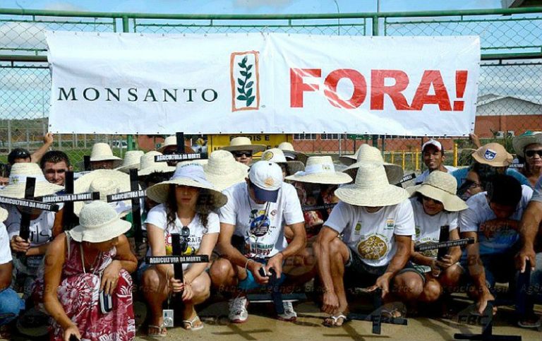 Fusão entre Bayer e Monsanto deve agravar insegurança alimentar no Brasil