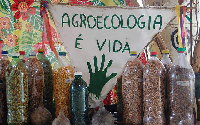 Agroecologia e o MST