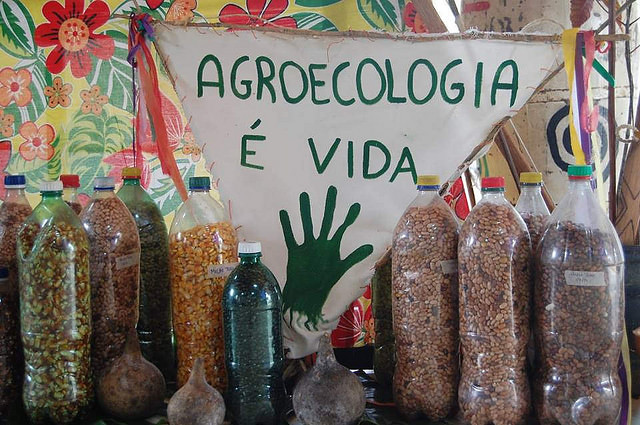 Agroecologia e o MST