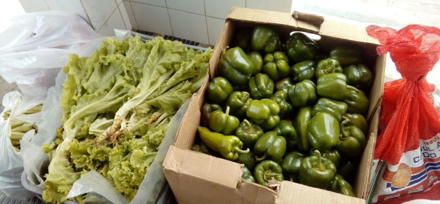 Sem Terra fazem doação de alimentos no sudoeste baiano