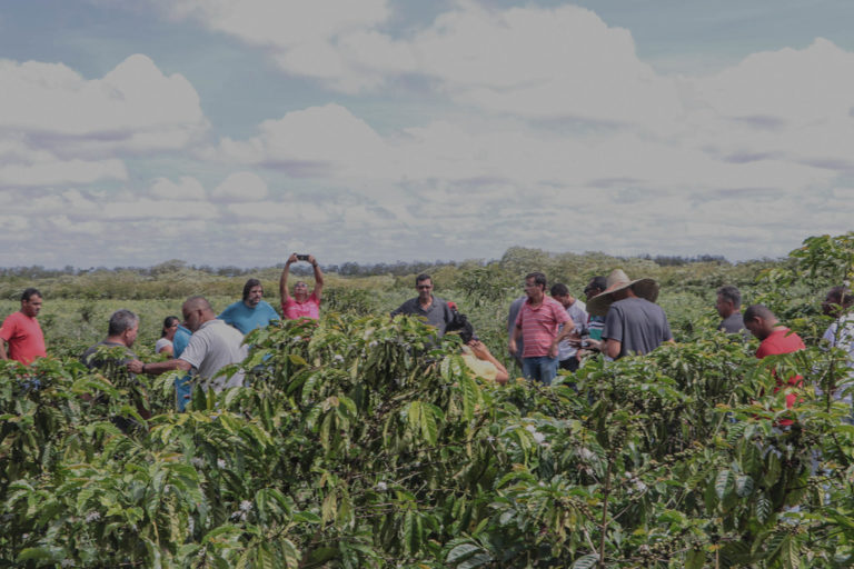 Seminário debate os próximos passos da produção de café agroecológico na Bahia