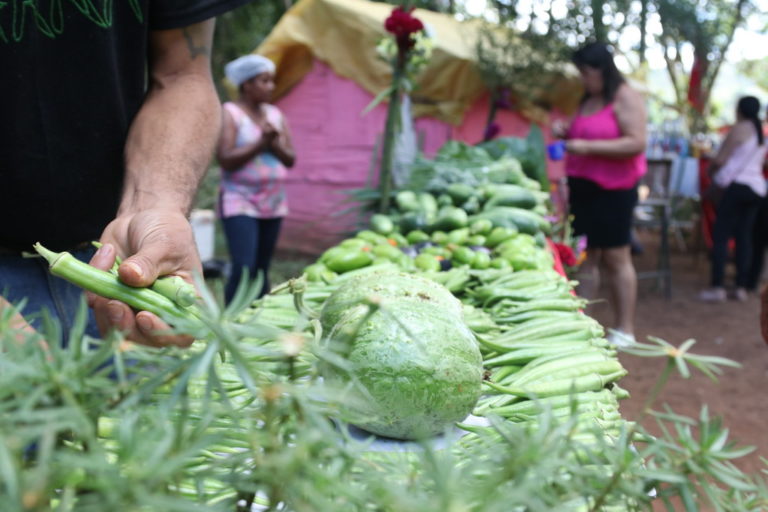 Região metropolitana produz alimentos saudáveis para Festival da Reforma Agrária de Minas Gerais