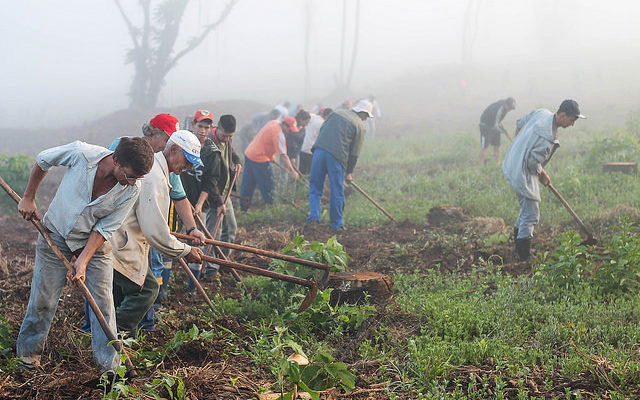Massacre de agricultores Sem Terra no Paraná completa um ano