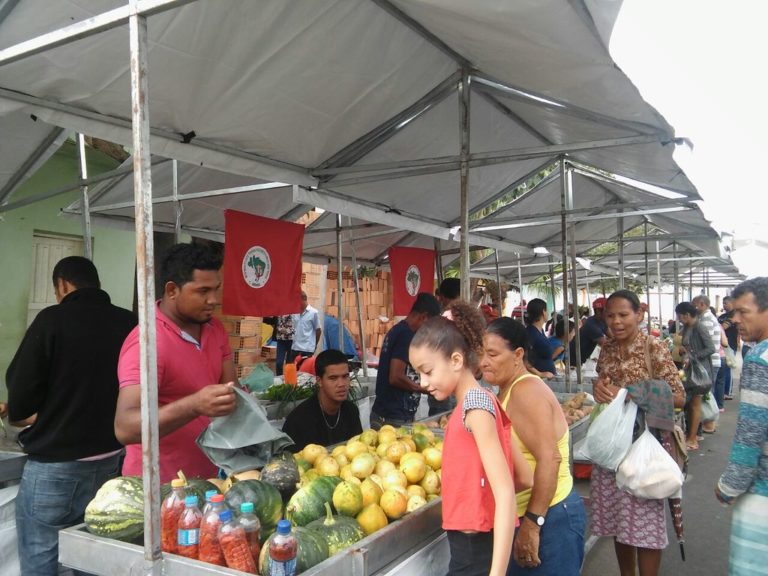 Sem Terra ocupam o município de Vereda com alimentos saudáveis
