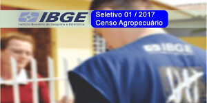 ibge-censo-300x150.png