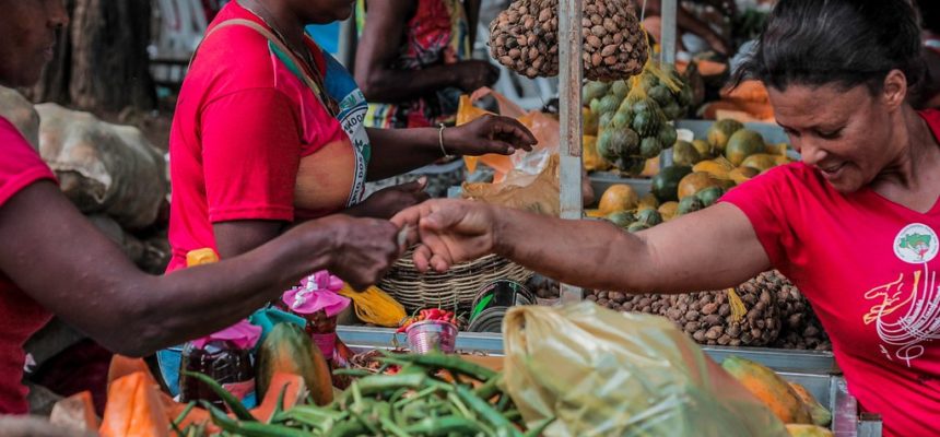 MST ocupa a Piedade com alimentos saudáveis na 3º Feira da Reforma Agrária