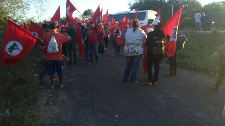 MST realiza ocupação em latifúndio de senador no Piauí