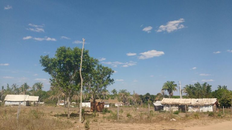DENÚNCIA | PM ameaça despejar mais de 500 famílias de acampamento no Tocantins