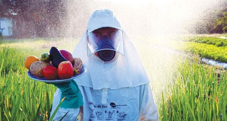 ANVISA proíbe o uso do agrotóxico paraquate; medida só valerá daqui 3 anos