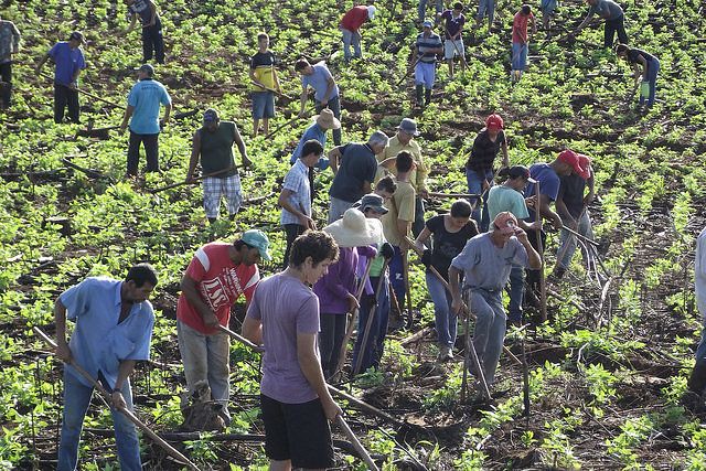 Prisões autorizadas por Moro desarticularam agricultura familiar no PR; caso terminou em absolvições