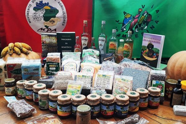 MST participa do 2º Festival das Sementes Crioulas
