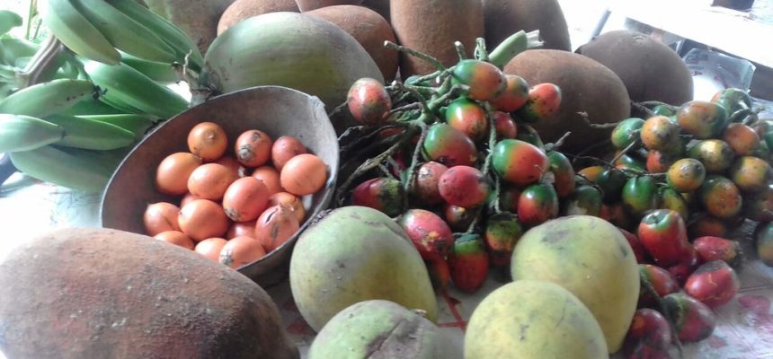 Sem Terra trazem diversidade de produção para a Feira Nacional em São Paulo