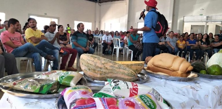 MST realiza mutirão de solidariedade com doação de 4 toneladas de alimentos no Paraná