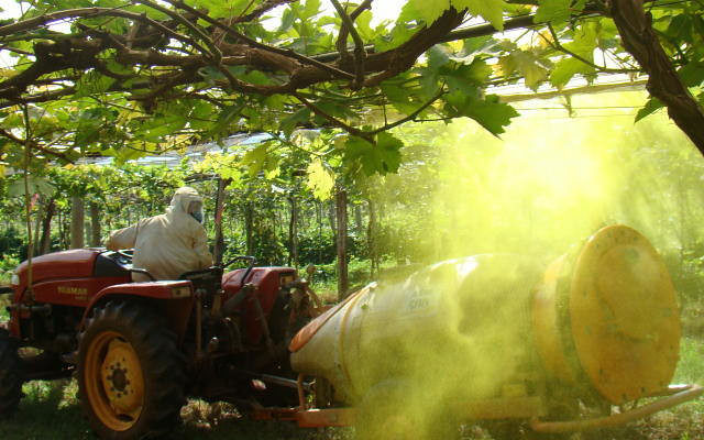 mortes e destruição da natureza definem agronegócio
