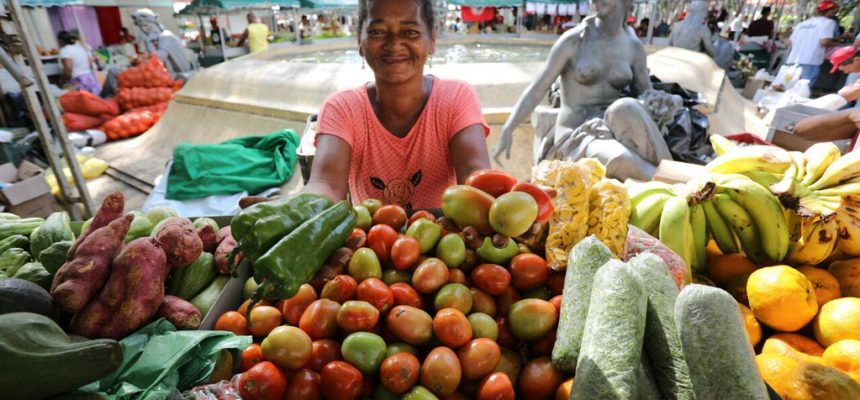 MST investe na produção agroecológica de Norte a Sul da Bahia