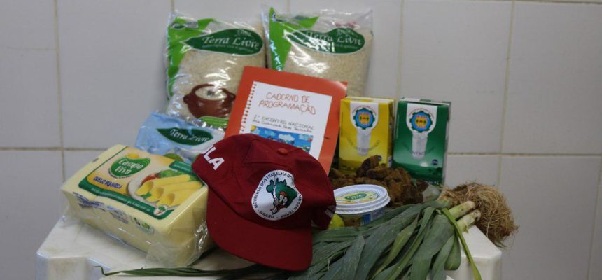 Construção coletiva: diversas iniciativas possibilitam a vinda dos Sem Terrinha à Brasília