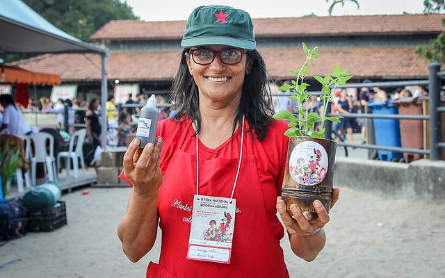 Assentamentos do MST apostam no cultivo de plantas medicinais