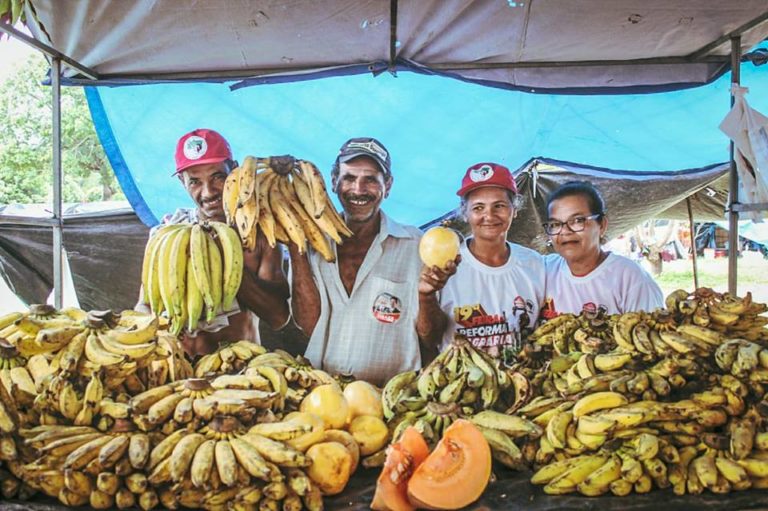 Governo de Haddad irá melhorar a vida do agricultor familiar e camponês brasileiro