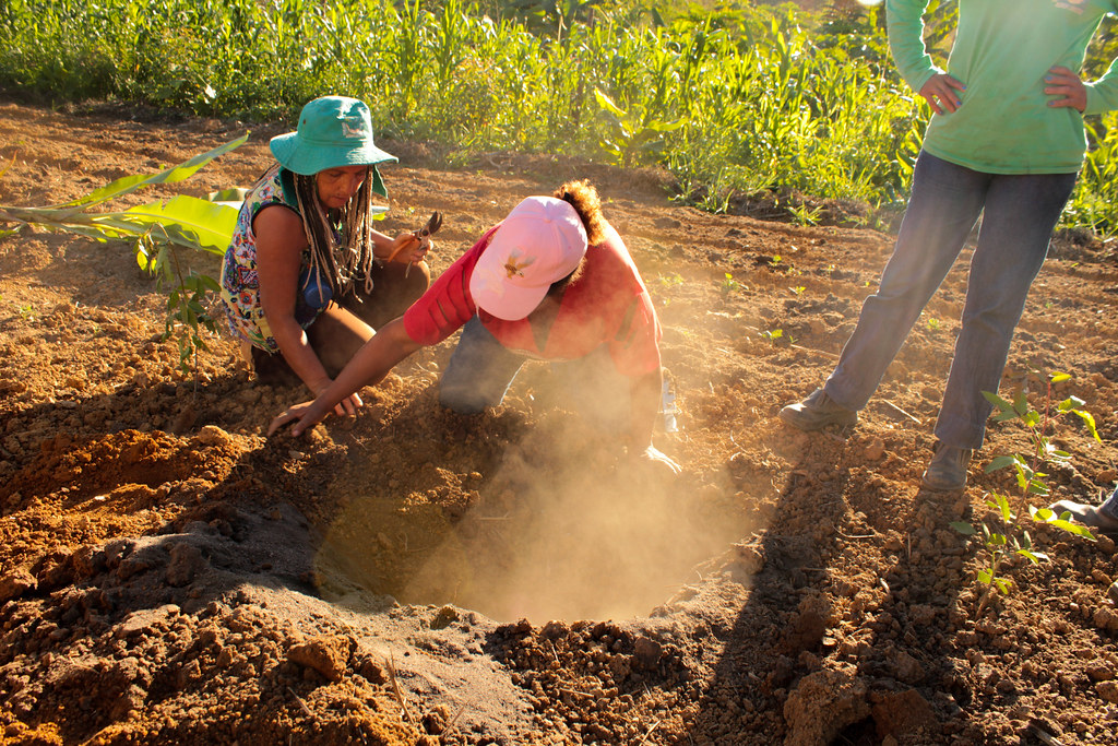 Vale do Rio Doce recebe curso de formação em agroflorestas