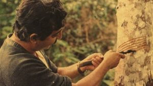 Chico Mendes inspira luta pela biodiversidade e direito à vida