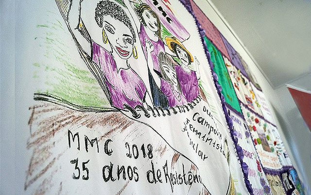 A resistência que vem das mulheres camponesas de Santa Catarina