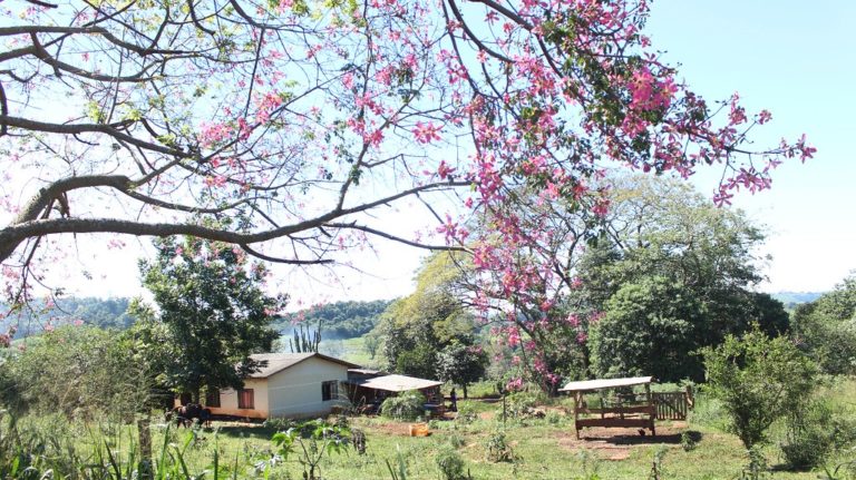 Pré-assentamento com mais de 20 anos luta contra ameaça de despejo no Paraná