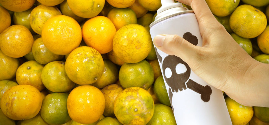Os agrotóxicos e a sua saúde